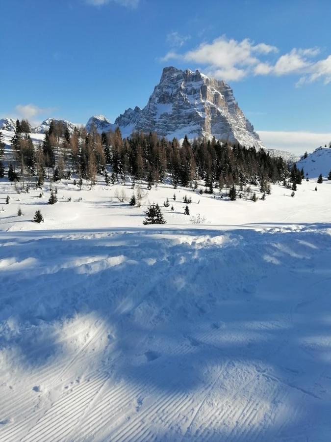 Appartamento Alto Cordevole Колле-Санта-Лучия Экстерьер фото